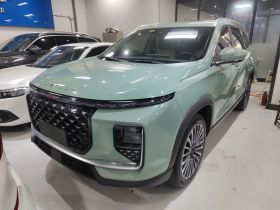 捷途山海L9 2024款 1.5TD 2DHT Max 7座