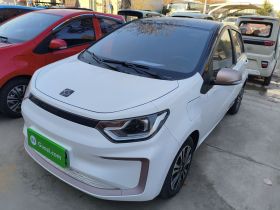 思皓 2022款 花仙子款 四叶草