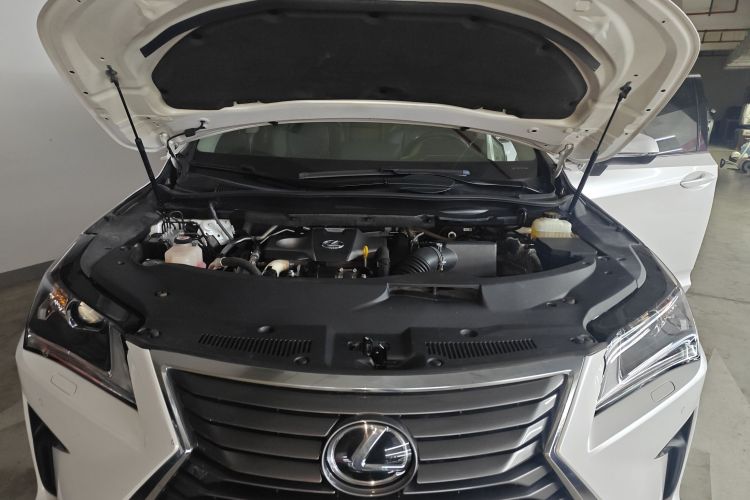 雷克萨斯RX 2016款 300 两驱舒适版 国V机舱底盘24