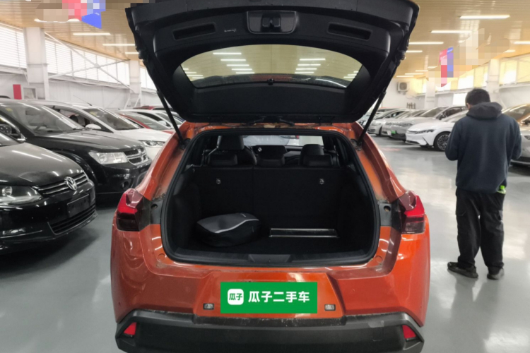 雷克萨斯UX新能源 2020款 300e 纯·享版机舱底盘23