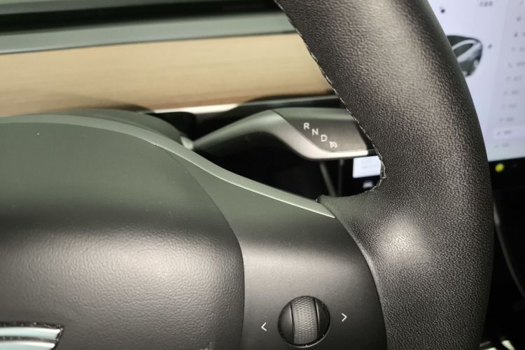 特斯拉 Model 3 2019款 标准续航后驱升级版局部细节18