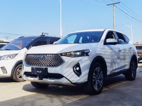 哈弗F7 2021款 2.0T 四驱i悦