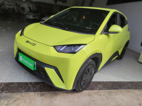 比亚迪 海鸥 2023款 活力版