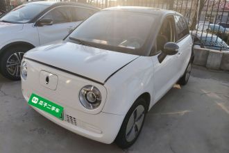 欧拉黑猫 2021款 301km 基础型