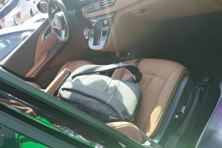 红旗HQ9 2023款 2.0T 智联旗畅版局部细节41