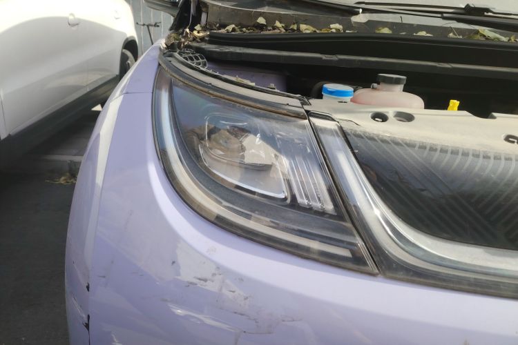 比亚迪 海豚 2023款 420km 自由版车身外观6006