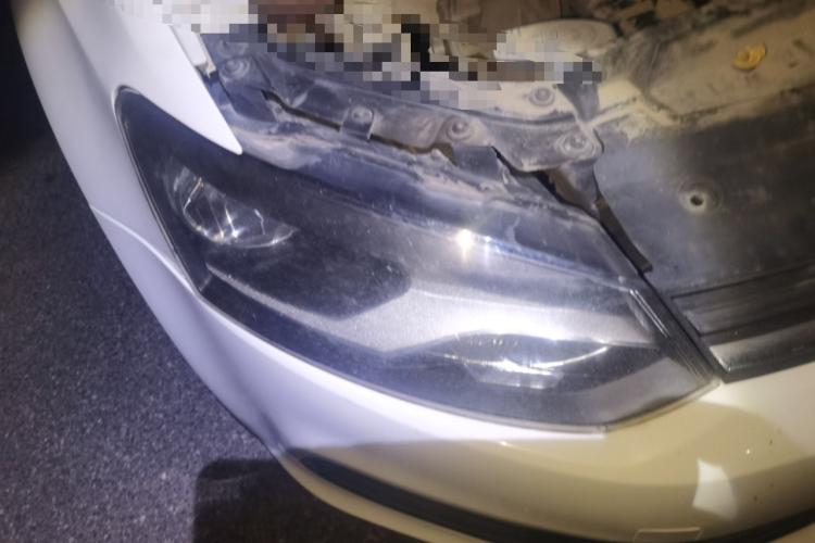 大众 Polo 2016款 1.4L 手动风尚型车身外观6006