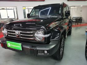 坦克300 2024款 2.0T 穿越者