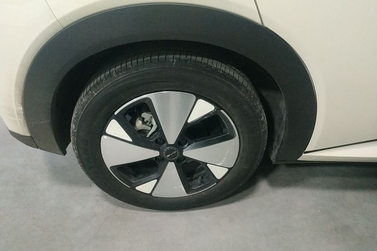 比亚迪 海豚 2023款 420km 时尚版车身外观6008