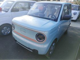 吉利银河 2024款 熊猫mini 200km 耐力熊