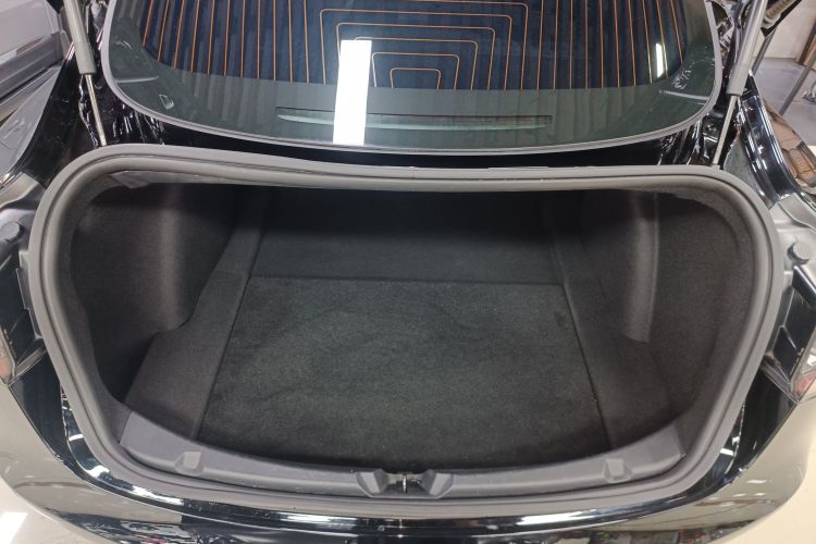 特斯拉 Model 3 2020款 改款 长续航后轮驱动版机舱底盘23