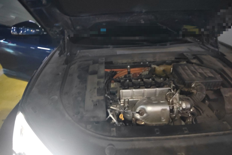 SERES赛力斯 赛力斯SF5 2020款 四驱高性能运动版局部细节9006