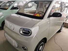 五菱汽车 宏光MINIEV 2024款 第三代 215km 青春版