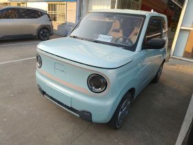 吉利银河 2023款 熊猫mini 200km 耐力熊