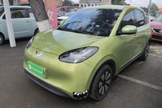 五菱汽车 五菱缤果 2023款 203km 舒享款