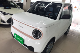 吉利银河 2024款 熊猫mini 200km 耐力熊