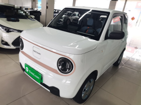吉利银河 2024款 熊猫mini 200km 耐力熊