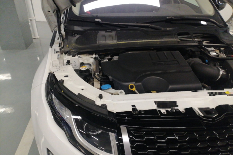 路虎 揽胜极光 2018款 240PS SE DYNAMIC 智锐版局部细节9006