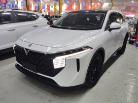 启辰大V 2023款 260T 爱豆版 Pro