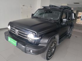 坦克300 2023款 城市版 2.0T 我看型