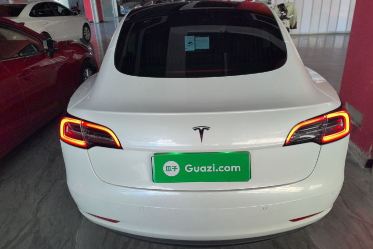 特斯拉 Model 3 2021款 标准续航后驱升级版车身外观6004