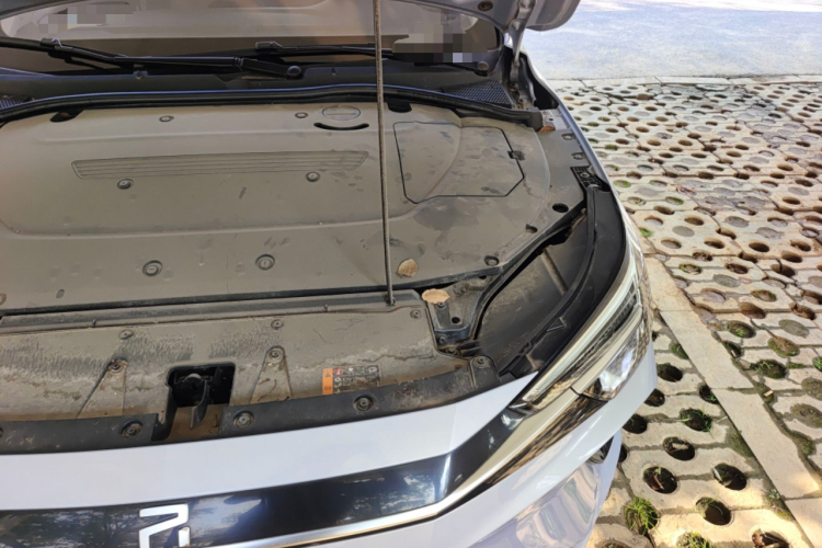 飞凡汽车 飞凡ER6 2021款 新动版 620km 智行版局部细节9007