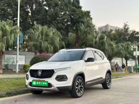 宝骏510 2019款 1.5L 自动优享型 国V