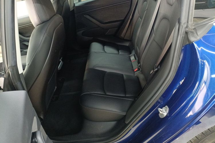 特斯拉 Model 3(进口) 2019款 长续航全轮驱动版中控内饰7004