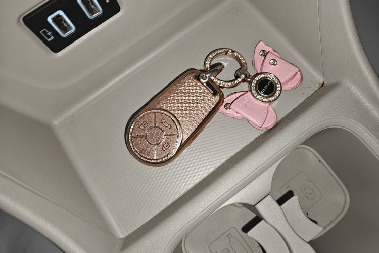 欧拉好猫 2021款 400km标准续航 维纳斯版 三元锂中控内饰11