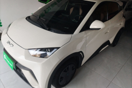 比亚迪 海鸥 2025款 305km 活力版