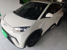 比亚迪 海鸥 2025款 305km 活力版