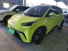 比亚迪 海鸥 2023款 自由版