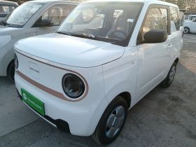 吉利银河 2024款 熊猫mini 200km 耐力熊