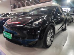 特斯拉 Model Y 2021款 标准续航后驱版