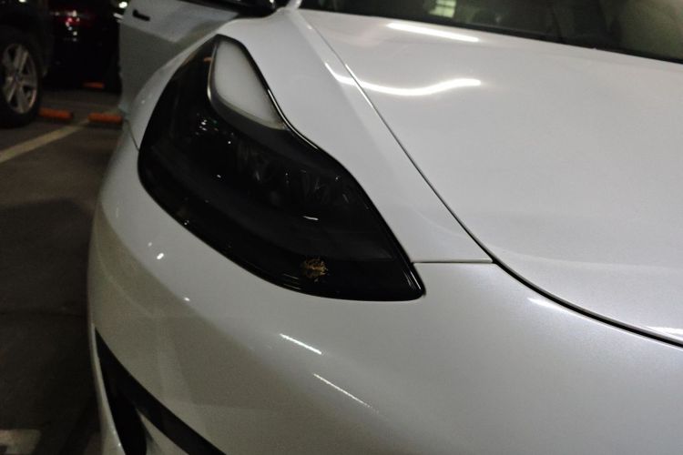 特斯拉 Model 3 2021款 标准续航后驱升级版车身外观6006