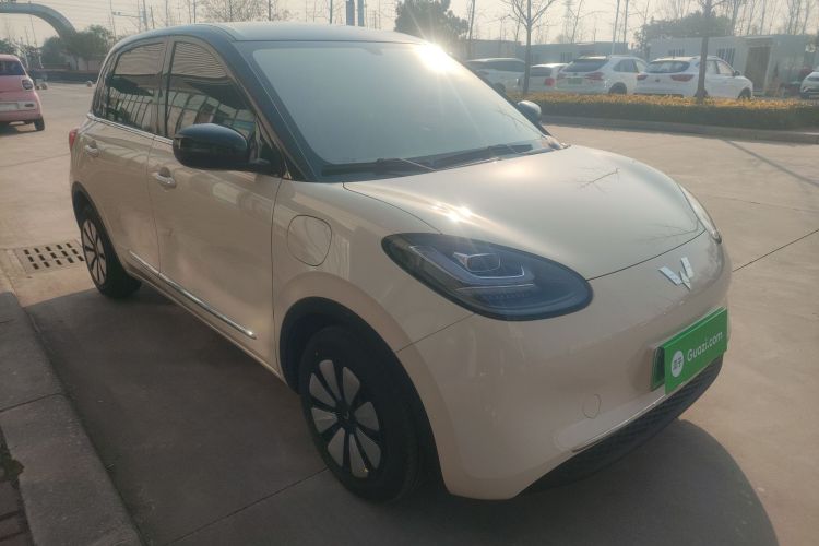 五菱汽车 五菱缤果 2025款 333km 悦享款车身外观3