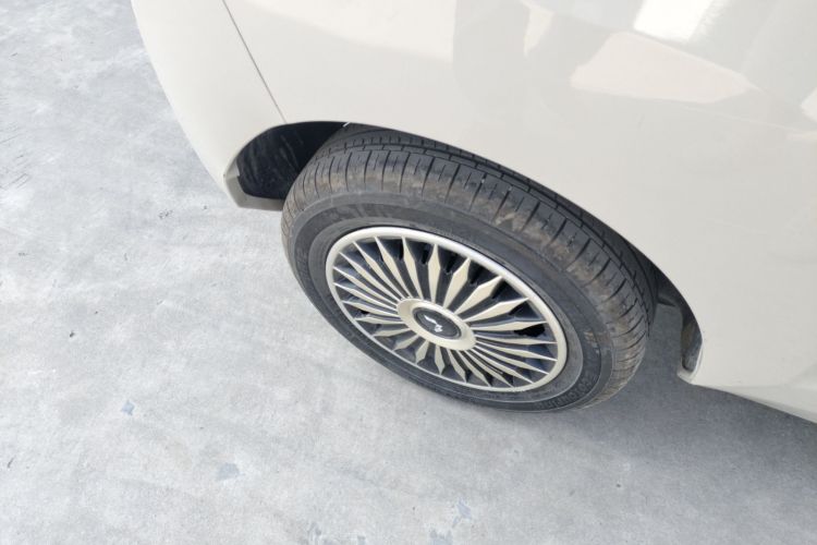 五菱汽车 宏光MINIEV 2021款 马卡龙臻享款 磷酸铁锂车身外观6008