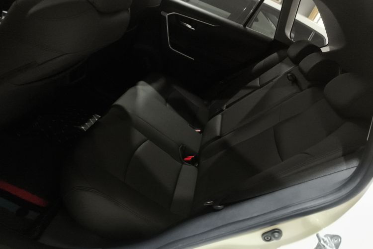 丰田 RAV4荣放 2020款 2.0L CVT两驱风尚版中控内饰7004