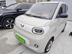 五菱汽车 宏光MINIEV 2024款 第三代 215km 青春版