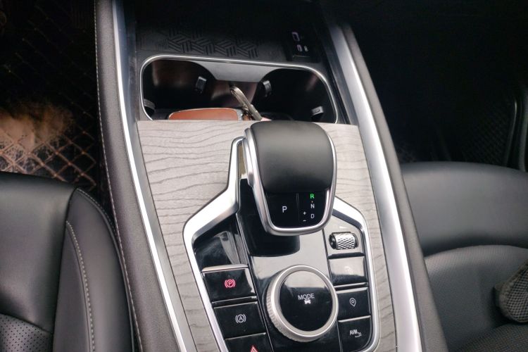 奇瑞 瑞虎8 PRO 2024款 冠军版 290T 两驱闪耀版 5座局部细节18