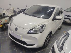 长安欧尚 奔奔E-Star 2021款 国民版 心悦版 三元锂