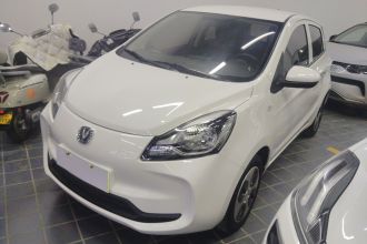 长安欧尚 奔奔E-Star 2021款 国民版 心悦版 三元锂