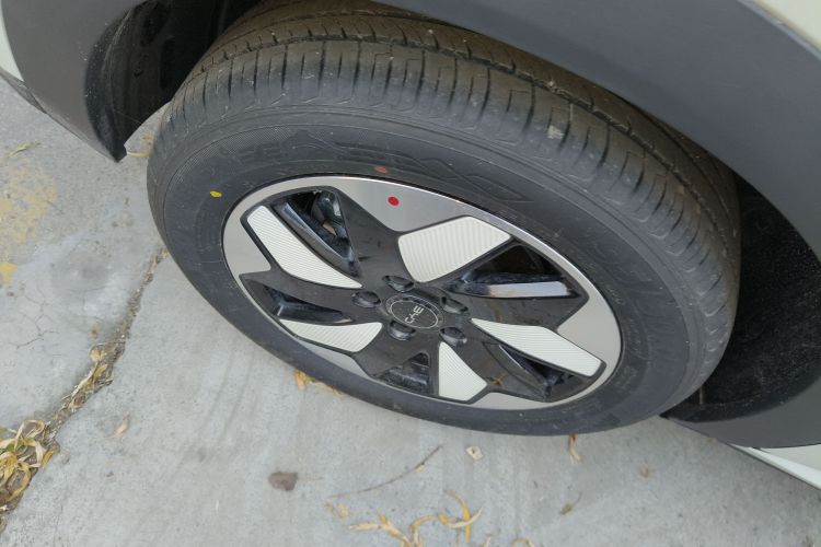 比亚迪 海豚 2025款 420km 自由版车身外观6008