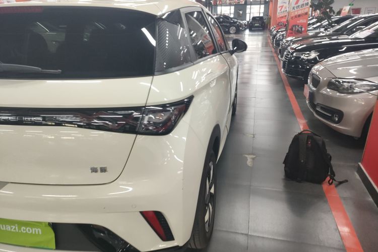 比亚迪 海豚 2024款 荣耀版 420km 时尚版车身外观9