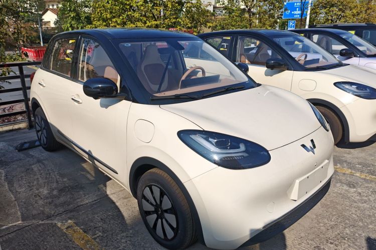 五菱汽车 五菱缤果 2025款 410km 灵犀尊享款车身外观3