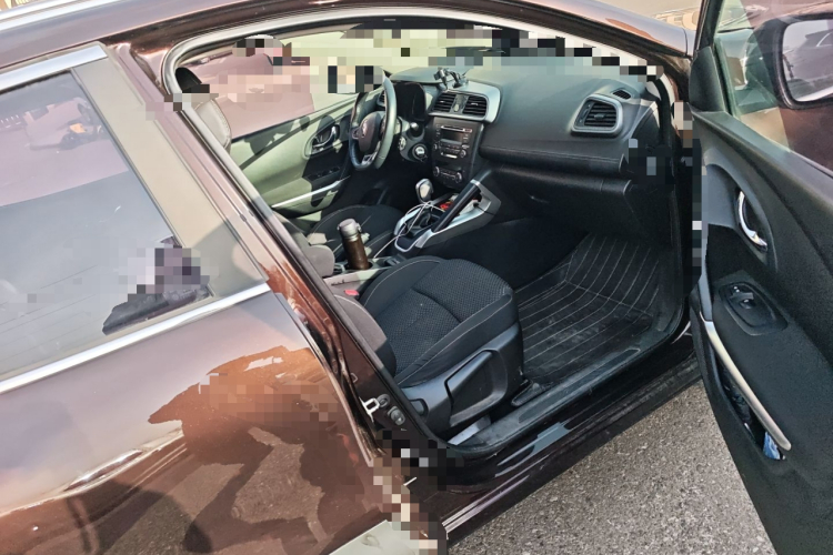 雷诺 科雷嘉 2017款 2.0L 两驱舒适版局部细节9005