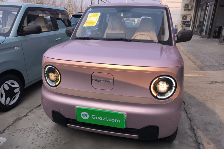 吉利银河 2024款 熊猫mini 200km 耐力熊车身外观2