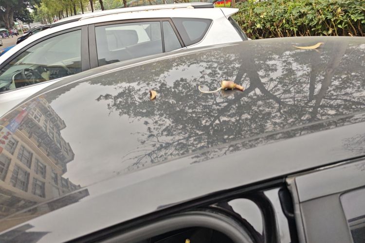 大众 朗逸 2015款 1.6L 自动风尚版局部细节57