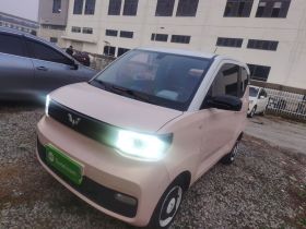 五菱汽车 宏光MINIEV 2021款 马卡龙臻享款 磷酸铁锂