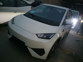 比亚迪 海鸥 2025款 305km 活力版